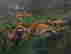 item-98591290=3