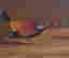 item-98591294=3