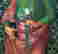 item-98591327=8