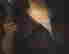 item-98591333=7