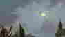 item-98591343=10