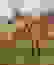 item-98591442=3