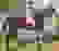 item-101562681=5