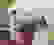 item-101562681=6