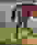 item-101562681=7
