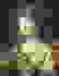 item-102959146=5