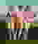 item-102959230=4
