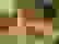 item-104871584=4