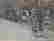 item-108190165=6