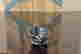 item-111686767=4