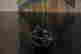 item-111686767=6