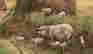 item-112049780=4