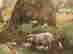 item-112049780=6