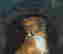 item-112049853=7