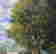 item-114322254=4