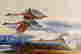 item-114322282=4