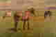 item-114322320=3