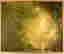 item-114322325=2