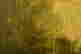 item-114322325=4