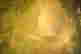 item-114322325=5