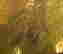item-114322325=6