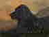 item-121075578=2