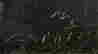 item-121075578=5