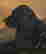 item-121075578=6