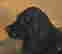 item-121075578=7