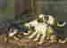 item-128400355=2