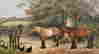 item-128400416=2