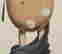 item-130785857=7