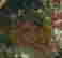 item-130785926=7