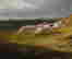 item-131360395=6