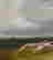 item-131360395=8