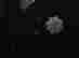 item-131360420=8