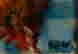 item-131360456=5