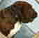 item-131360463=5