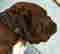 item-131360463=6