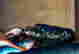 item-131360476=6