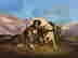 item-131360477=3