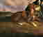 item-131360477=5
