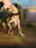 item-131360477=6