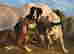 item-131360477=7