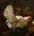 item-131360481=8