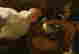 item-131360481=9