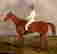 item-131360503=7