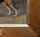 item-131360522=10