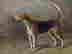 item-131360522=4