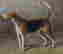 item-131360522=5
